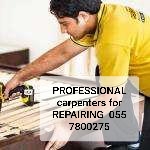 PROFESSIONAL MOVERS 0557800275